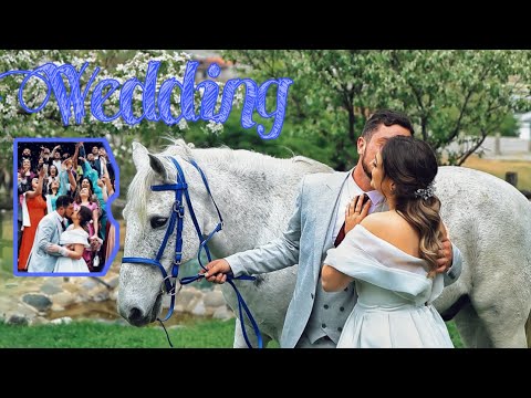 სიგიჟე წყვილის სიგიჟე ქორწილი — Wedding — SI PROD