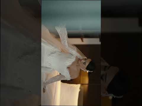 ბათუმში ქორწილი 🙌🥰 #batumi #weddingphotography #weddingbatumi #avtotchipashvili