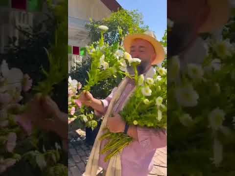 გარდენიაში / ქორწილი