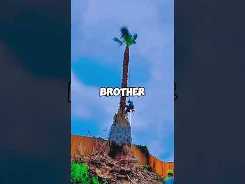 My Parents Humiliated Me At Their Wedding Anniversary—So I Left Forever