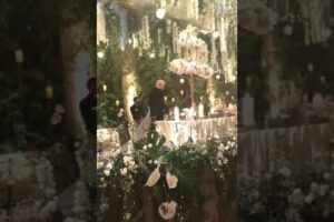 «2020NEWS»-ის ექსკლუზივი — ბერა ივანიშვილის და ნანუკა გუდავაძის ქორწილის ვიდეოები